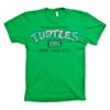 turtles-new-york-84-t-shirt