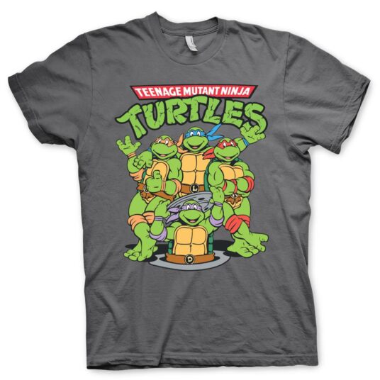 Turtles Group Grå T-shirt